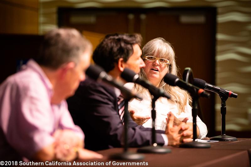 29th Annual Demographic Workshop