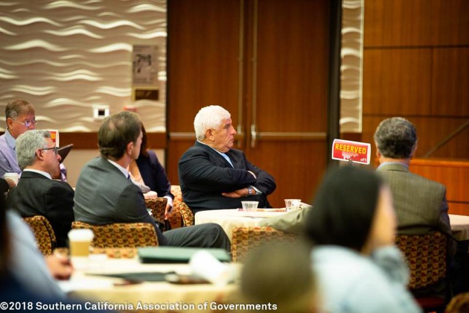 29th Annual Demographic Workshop