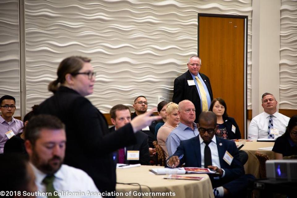 29th Annual Demographic Workshop