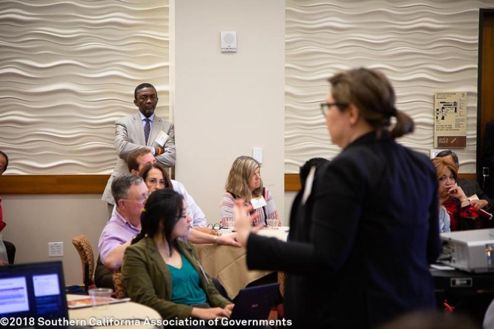 29th Annual Demographic Workshop