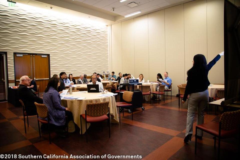 29th Annual Demographic Workshop