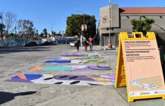 Map Out Goals, Kit Logistics & Site Plan